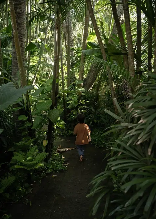 A meandering path through the estate&rsquo;s mature tropical gardens