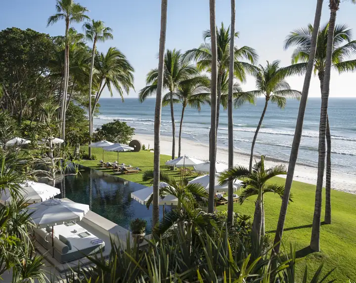Loungers on the lawn between the coconut palms and the Pacific