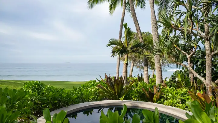 The pool edge, the palms and the ocean beyond in late afternoon light
