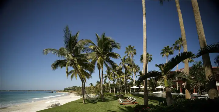 The estate seen from the sand, low behind the coconut palms